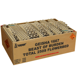 Beast Of Burden 250's
